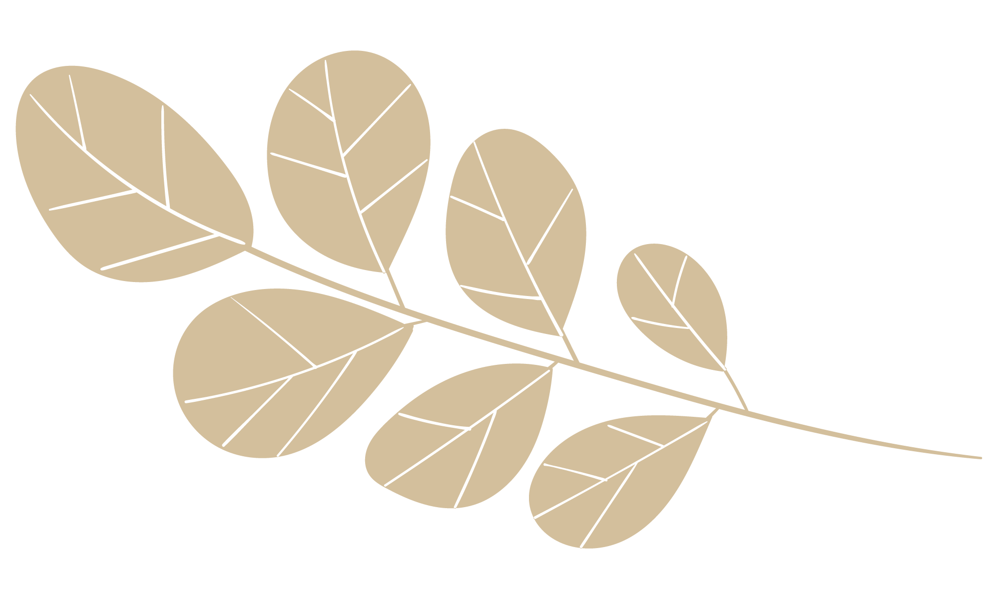 leaf ornament icon